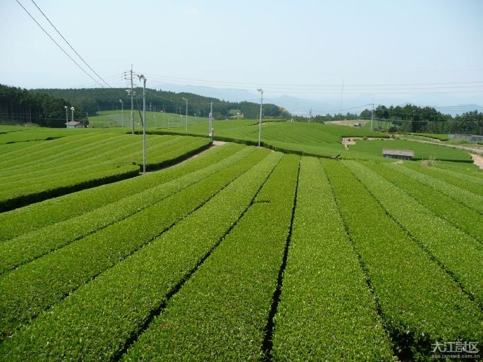 日本“景德镇”的瓷都——有田町