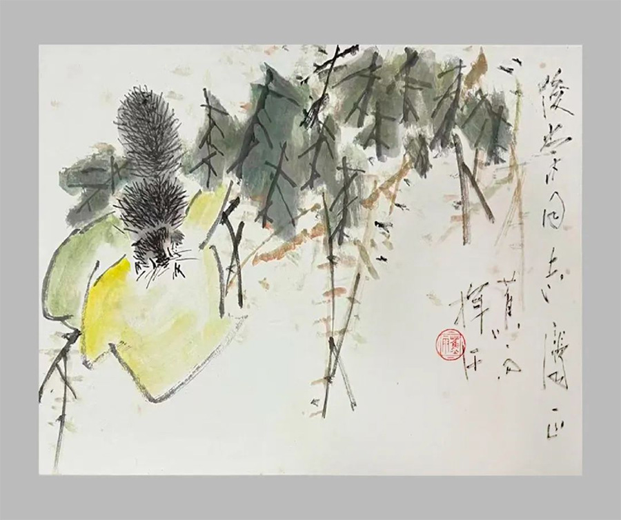 图片
